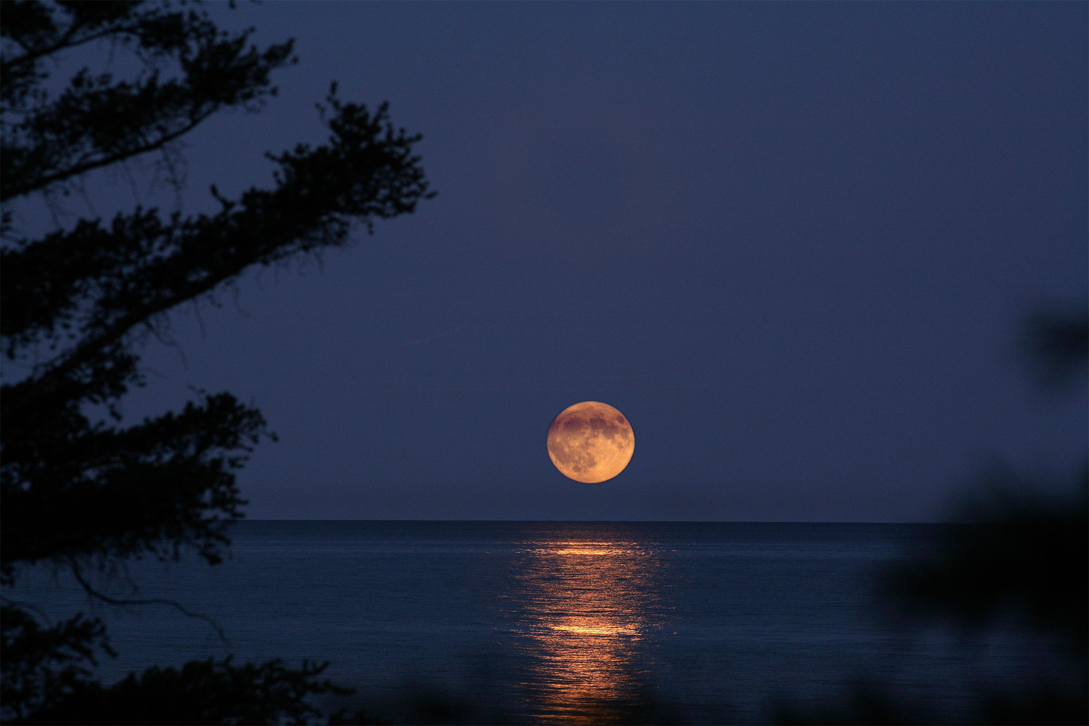 Находящаяся низко над горизонтом луна кажется сильно. Луна Шри Ланка. Полнолуние. Луна на горизонте. Полная Луна.